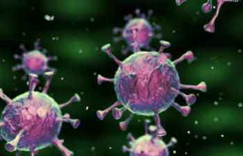 A group of coronaviruses on a green background.